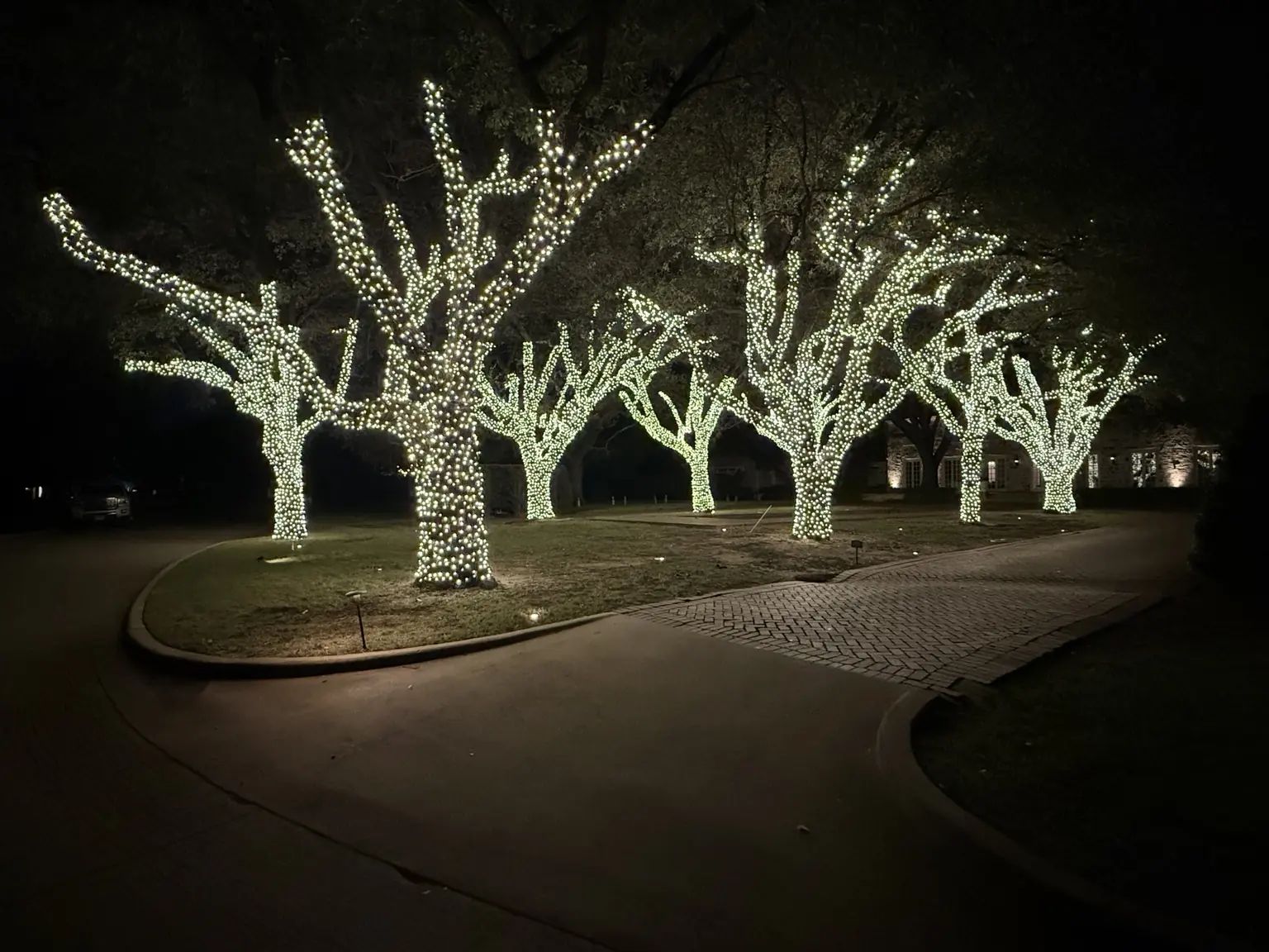 Luxury estate entrance with mature trees professionally wrapped in warm-white Christmas lights