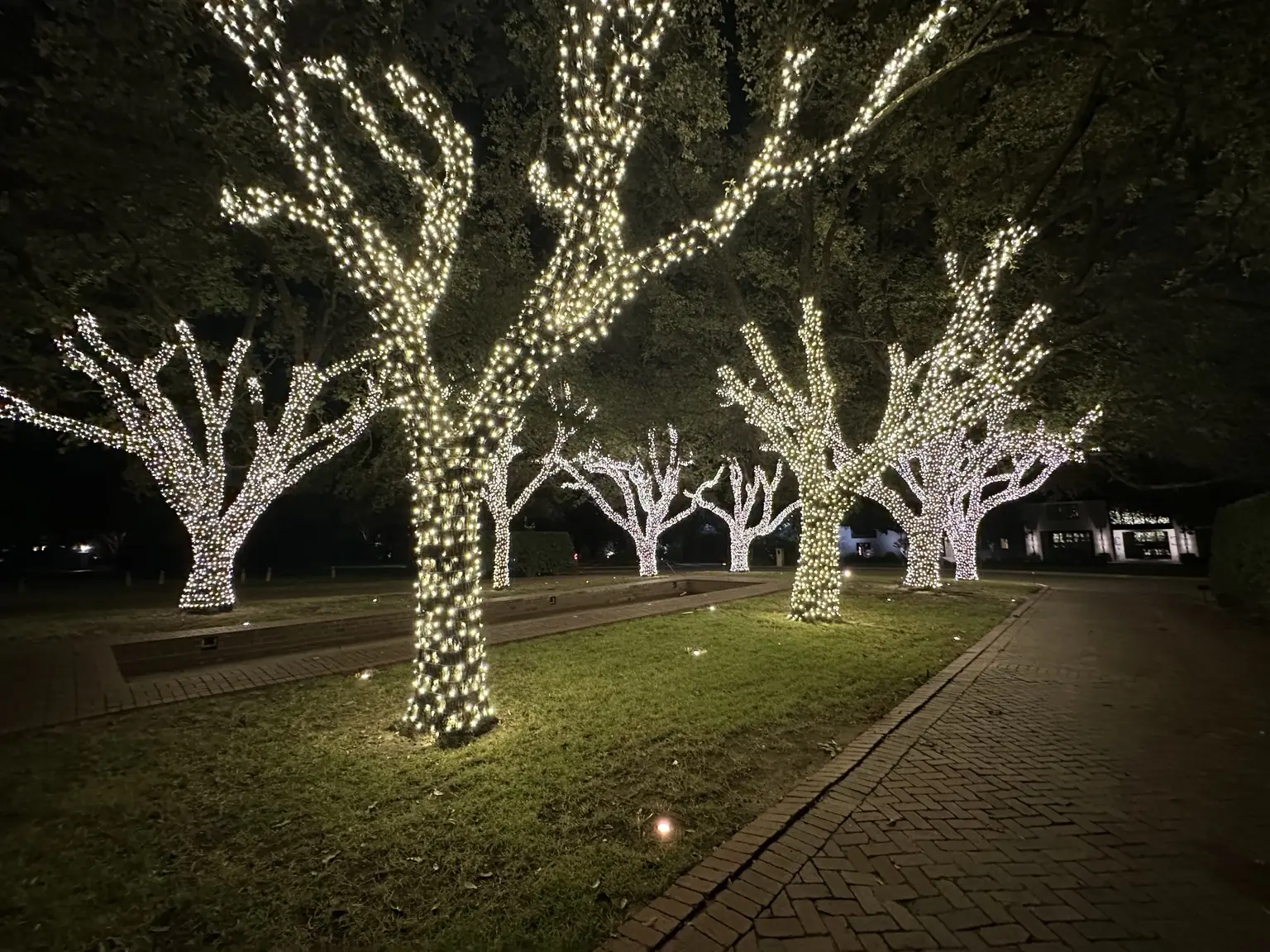 Luxury Courtyard Tree-Wrapping Lights | Elf's Christmas Lights Luxury courtyard framed by mature trees wrapped in warm-white Christmas lights
