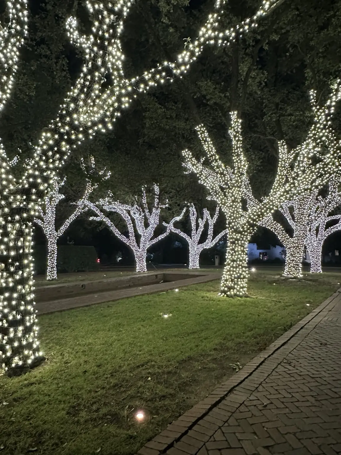 Warm-White Tree Lighting Along Brick Pathway | Elf's Christmas Lights Warm-white wrapped trees beside a landscaped brick pathway at night